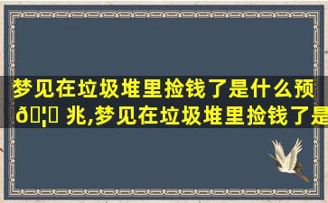 梦见在垃圾堆里捡钱了是什么预 🦆 兆,梦见在垃圾堆里捡钱了是什么预兆解梦